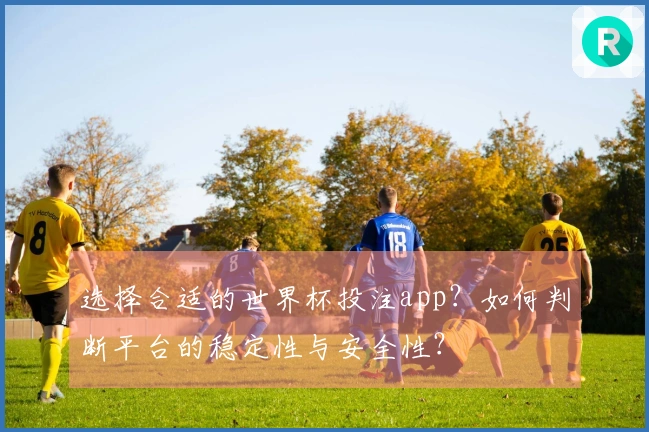 选择合适的世界杯投注app？如何判断平台的稳定性与安全性？