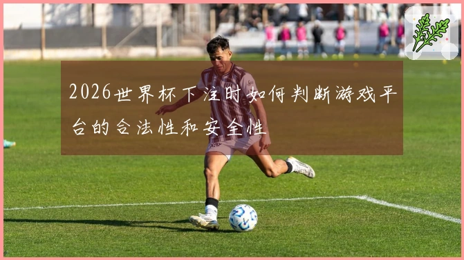 2026世界杯下注时如何判断游戏平台的合法性和安全性
