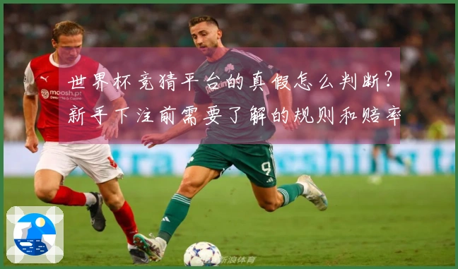 世界杯竞猜平台的真假怎么判断？新手下注前需要了解的规则和赔率解析