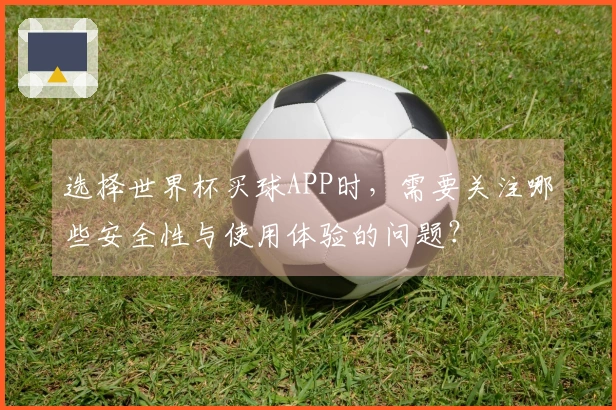 选择世界杯买球APP时,需要关注哪些安全性与使用体验的问题?
