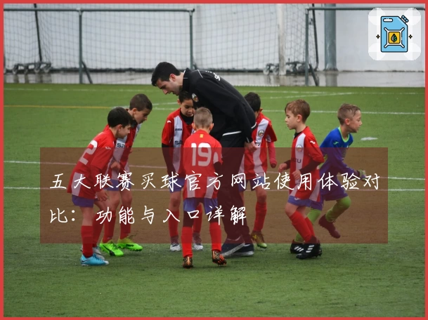 五大联赛买球官方网站使用体验对比：功能与入口详解