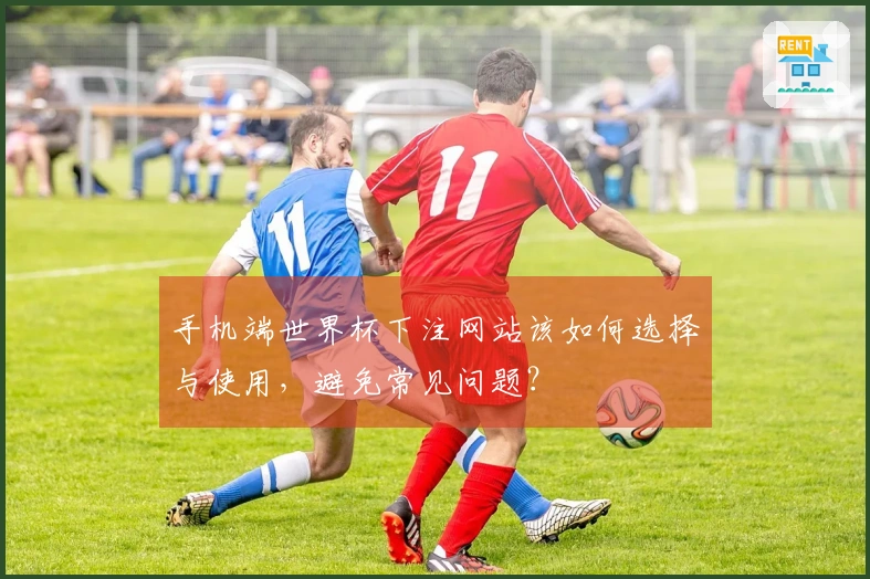 手机端世界杯下注网站该如何选择与使用，避免常见问题？