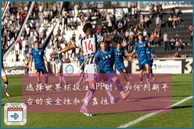 选择世界杯投注APP时，如何判断平台的安全性和可靠性？