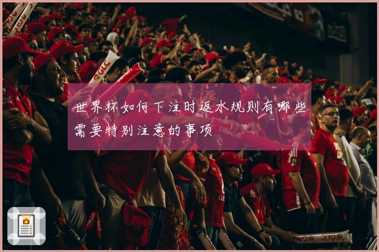 世界杯如何下注时返水规则有哪些需要特别注意的事项