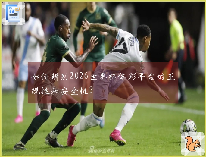 如何辨别2026世界杯体彩平台的正规性和安全性？