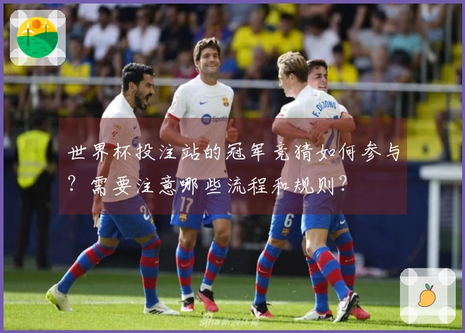 世界杯投注站的冠军竞猜如何参与？需要注意哪些流程和规则？