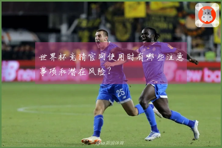 世界杯竞猜官网使用时有哪些注意事项和潜在风险？