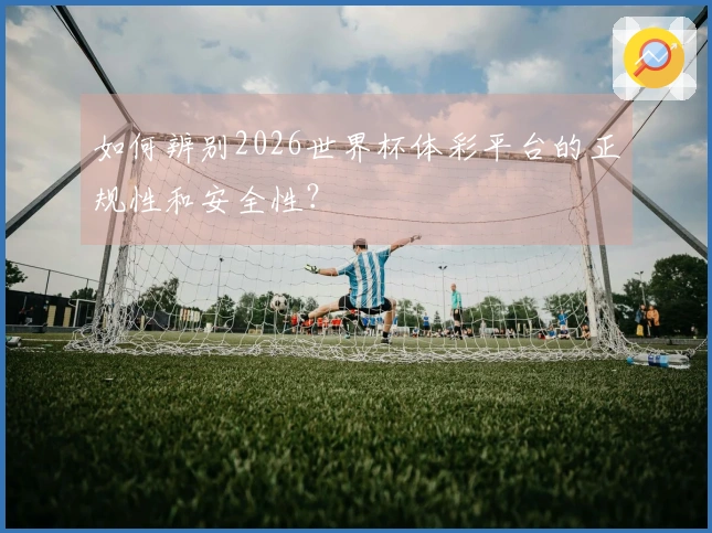 如何辨别2026世界杯体彩平台的正规性和安全性？
