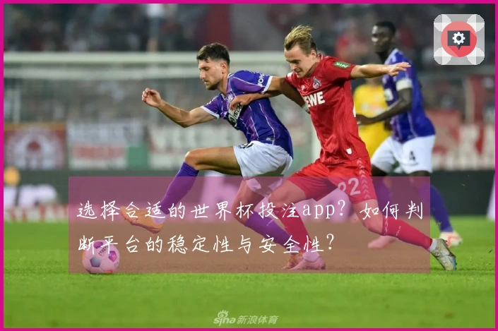 选择合适的世界杯投注app?如何判断平台的稳定性与安全性?
