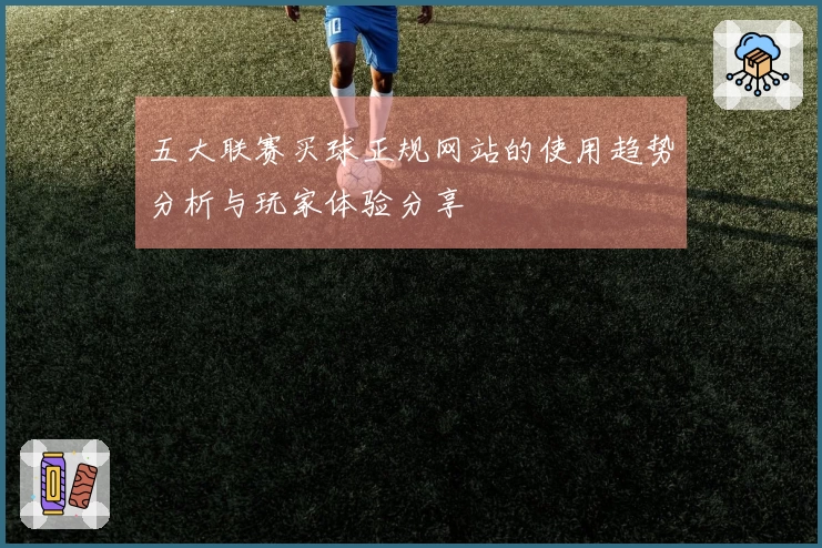 五大联赛买球正规网站的使用趋势分析与玩家体验分享