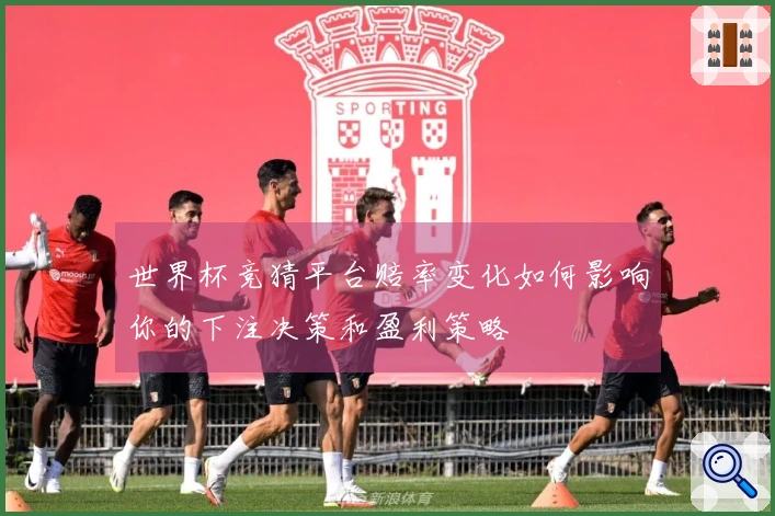 世界杯竞猜平台赔率变化如何影响你的下注决策和盈利策略