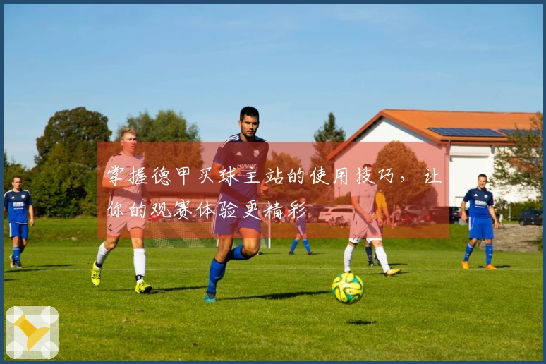 掌握德甲买球主站的使用技巧，让你的观赛体验更精彩