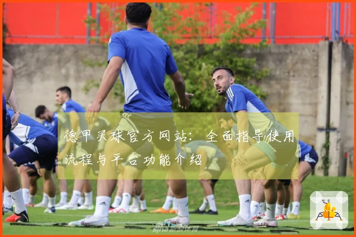 德甲买球官方网站:全面指导使用流程与平台功能介绍