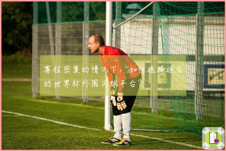 赛程密集的情况下，如何选择适合的世界杯外围买球平台？