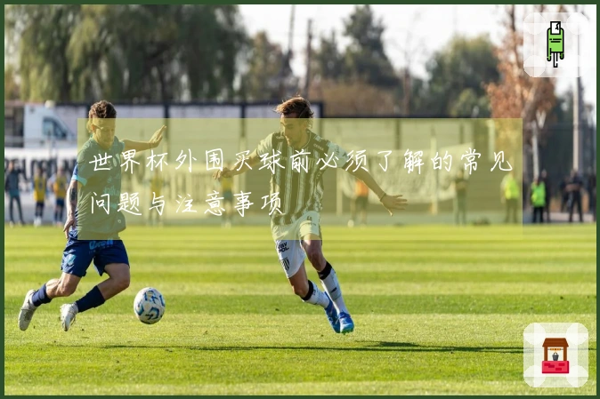 世界杯外围买球前必须了解的常见问题与注意事项